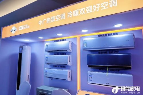 张艺谋的老婆陈婷个人资料