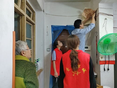 神雕侠侣陈紫函版演员表 神雕侠侣陈紫函版演员表