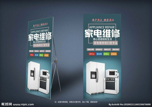 铁皮石斛生长环境 铁皮石斛生长环境与种植技术 铁皮石斛生长环境 铁皮石斛生长环境与种植技术