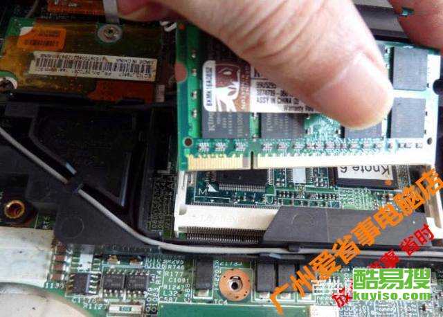 香港演员郑佩佩个人简历 香港演员郑佩佩个人简历