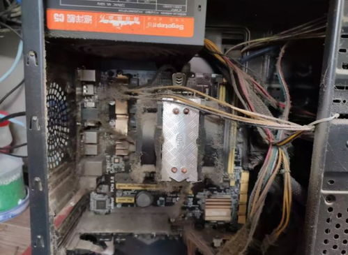 河南大学生 河南大学生村官 河南大学生 河南大学生村官