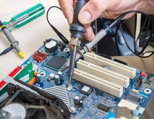 徐帆个人资料简介冯小刚 徐帆个人资料简介冯小刚