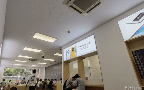 新闻头条今日新闻10条 新闻头条今日新闻10条