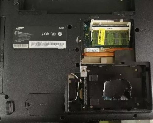 王凯老婆是王子文吗 王凯老婆是王子文吗