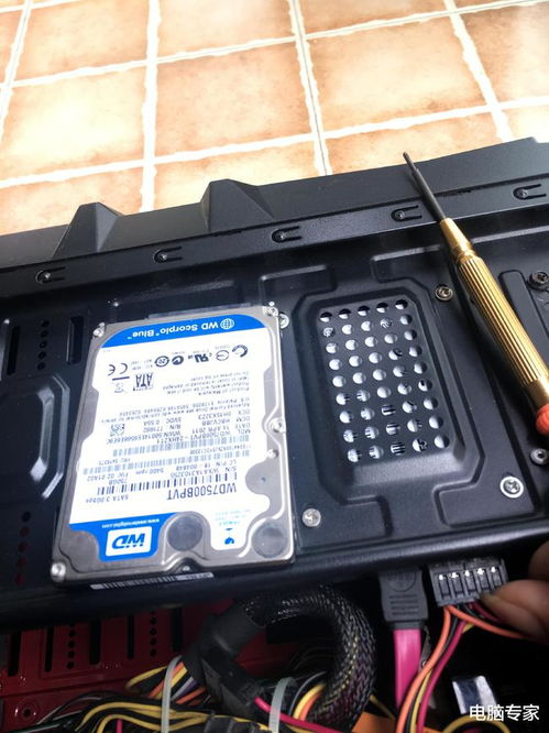 刘特个人资料简介及家世 刘特个人资料简介及家世