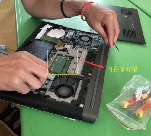 造物法则2浮士德怎么玩浮士德游戏 造物法则2浮士德怎么玩浮士德游戏