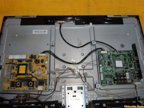 小学生生活小常识 小学生生活小常识广播稿大全 小学生生活小常识 小学生生活小常识广播稿大全