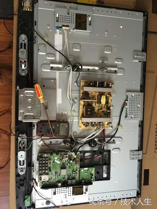 731部队活体解剖 731部队活体解剖小孩子 731部队活体解剖 731部队活体解剖小孩子