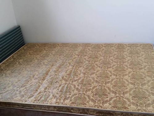 女歌手张蔷是哪里人 女歌手张蔷演唱的歌曲